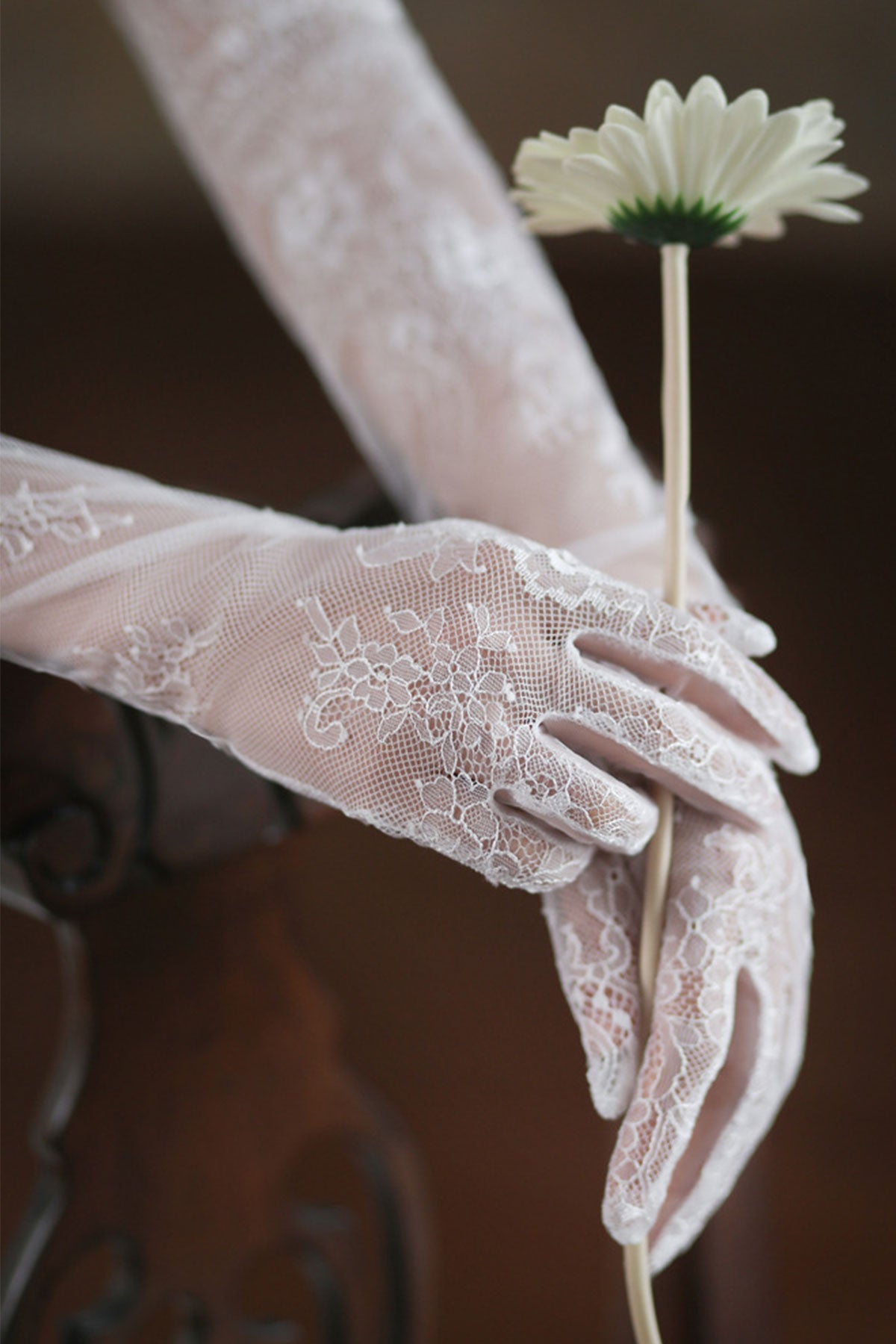 Elegant Sheer Lace Bridal Wedding Elegant Gloves